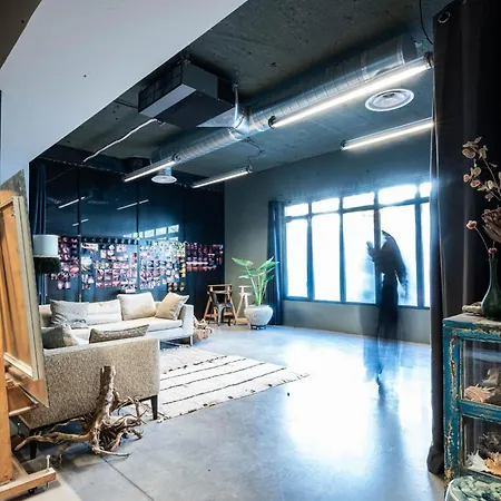 Appartement Loft Architecte Design 10 Mn Cannes And Sophia Antipolis Antibes
